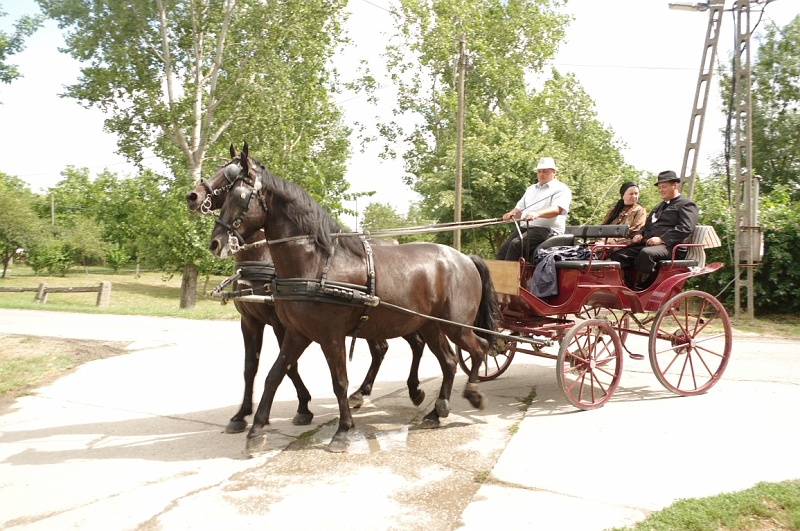 LEVI2494 (Medium).JPG